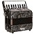 Acordeon Eagle 8 Baixos 22 Teclas EGA 8 PBK Preto C/ Case - Imagem 1