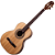 Violão Acústico Rozini Profissional Tenor RX208.AC.N.J - Imagem 1