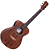 Violão Elétrico Rozini Presença Mini RX115.FPP.F.LP Fishman - Imagem 1