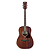 Violão Acústico Ibanez PF14JR OPN Open Pore Natural - Imagem 2