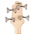 Contrabaixo 4 Cordas Ativo Cort Action Bass Plus BK com Captadores PJ e EQ Ativo de 2 Bandas - Imagem 5