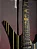 Guitarra Schecter Synyster Custom-S Black with Gold Stripes com Sustainiac e Floyd Rose - Imagem 6