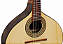 Bandolim Eletroacústico Giannini Goal BS1 EQ NS Natural Satin - Imagem 2