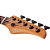 Contrabaixo Schecter CV-5 Standard Tobacco Burl 5 Cordas com Captadores Schecter Diamond J-Bucker e Ponte Schecter Custom String-Thru 3972 - Imagem 3