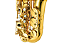 Saxofone Alto P.Mauriat PMSA-180 AGL Gold Lacquer com Super VI Neck e Brass Body - Imagem 5