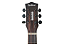 Violão Eletroacústico Waldman DE141 GY Gray Dreadnought com Tampo Basswood e Equalizador EQ-3RT 3 Bandas - Imagem 2