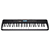 Teclado Musical Waldman ClassTone WTS-300 - Imagem 1