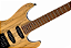 Guitarra Waldman WIS160 SNT Spalted Natural com Captadores HSS Cerâmicos e Ponte Tremolo Vintage 2 Pivôs - Imagem 3