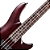 Contrabaixo Schecter SGR C-4 Bass Walnut Satin com Captadores Diamond Bass e Ponte Diamond Bass 3849 - Imagem 3