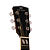 Violão Eletroacústico Michael Folk Freebird VMF440 BT (Black Top) com Tampo Spruce Pré Michael Cleverly Tarraxas Die Cast Encordoamento Aço e Acabamento Brilhante - Imagem 3