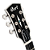 Guitarra Cort CR300 Deluxe FB Flaming Burst Set-Neck Mahogany com Top Flamed Maple Captadores Seymour Duncan SH2N & SH4 e Hardware Nickel - Imagem 3