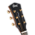 Violão Cort Gold A6 NAT Natural Gloss Masterpiece Series com Top Torrefied Solid Sitka Spruce Corpo Grand Auditorium e Eletrônica Fishman Flex Blend - Imagem 2