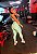 Conjunto Glossy Tradicional Hype Verde Água Duo - M/G - Imagem 2