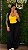 Blusinha Frente única Amarelo - Tamanho único - Imagem 1