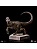 ESTÁTUA VELOCIRAPTOR (C) - JURASSIC PARK - ICONS -IRON STUDIOS - Imagem 2