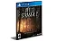 Life is Strange 2 Temporada Completa Ps4 e Ps5 Psn Mídia Digital - Imagem 1