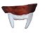 dente de vampiro infantil plástico dentadura drácula terror cosplay halloween - Imagem 2