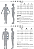 Bermuda Fitness Térmicsa Sem Costura - Imagem 2