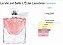 La Vie Est Belle L´Éclat 25ml N.253 - Brand Collection - Imagem 2