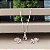 Conjunto Ponto Luz Pedra Zircônia - Prata 925- MCJ75-2050 - Imagem 3