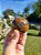 Esfera de Apatita Azul com Jaspe - Imagem 2