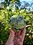 Esfera Serpentina com Pirita - Imagem 4