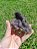 Drusa de Ametista com Mini Estalactites - Imagem 3