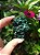 Malaquita Fibrosa - Imagem 1