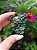 Malaquita Fibrosa - Imagem 2