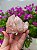 Drusa Pink Autocurada - Imagem 1