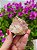 Casaco dos Sonhos - Dream Coat - Imagem 1