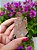 Drusa Quartzo Violeta - Imagem 2