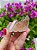 Drusa Quartzo Violeta - Imagem 1