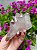 Drusa Quartzo Violeta - Imagem 1