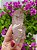 Drusa Quartzo Violeta - Imagem 3