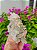 Drusa Quartzo Laser com Clorita - Imagem 3
