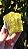 Drusa de Enxofre - Imagem 1