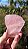 Quartzo Rosa Extra - Imagem 1
