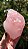 Quartzo Rosa Extra - Imagem 3