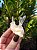 Drusa Ancestral com Rutilos - Imagem 1
