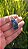 Colar Médio Apatita Azul - Imagem 1