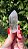 Mestre Phantom Branco - Imagem 2