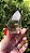 Quartzo Hialino com Phantom Branco - Imagem 3