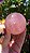 Esfera de Quartzo Rosa (extra) - Imagem 1