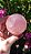 Esfera de Quartzo Rosa (extra) - Imagem 4