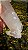 Cristal Agregador Phantom Biterminado - Imagem 8