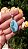 Pingente Larimar - Imagem 1