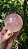 Esfera de Quartzo Rosa (extra) - Imagem 2