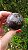 Esfera Super Seven - Imagem 1