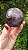 Esfera Super Seven - Imagem 3